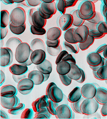 3dcells.jpg