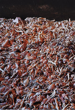 TurkeyGuts.jpg