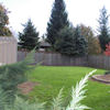 backyardTN.jpg