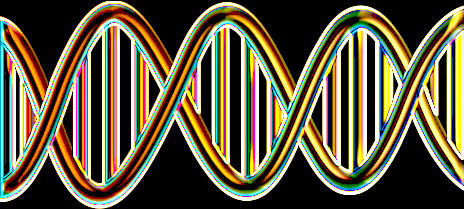 dna.jpg