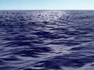 ocean1.jpg 