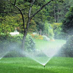 sprayingwater.jpg