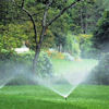 sprayingwaterTN.jpg