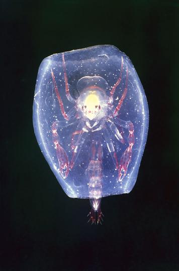 JNM00014small.jpg
