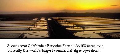 C603FarmSunset7.JPG