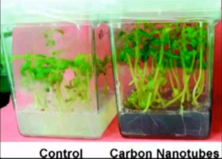 carbon nanotube growth.JPG